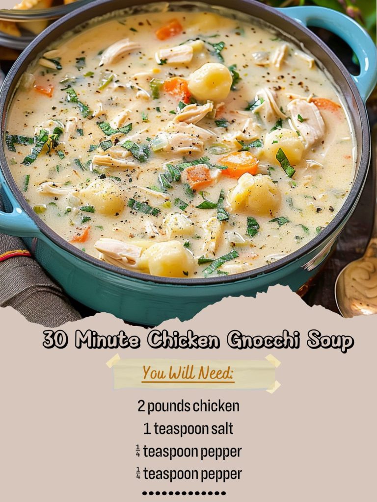 30 Minute Chicken Gnocchi Soup