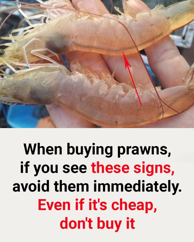 When buying prawns, if you see these signs, avoid them immediately. Even if it’s cheap, don’t buy it