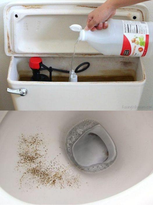 VINEGAR INTO YOUR TOILET