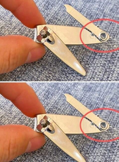 Nail clippers, the secret option that makes your life easier: almost no one has noticed.