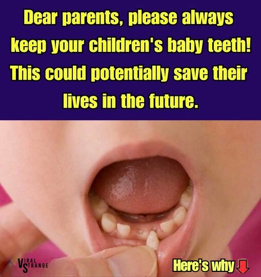 Scientists Urge Parents to Preserve Baby Teeth