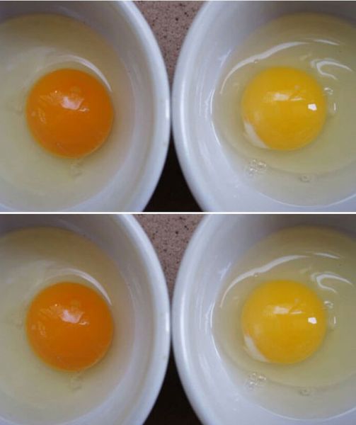 Here’s What Happens To Your Body When You Eat Two Eggs A Day. I Never Thought About  Amazing!