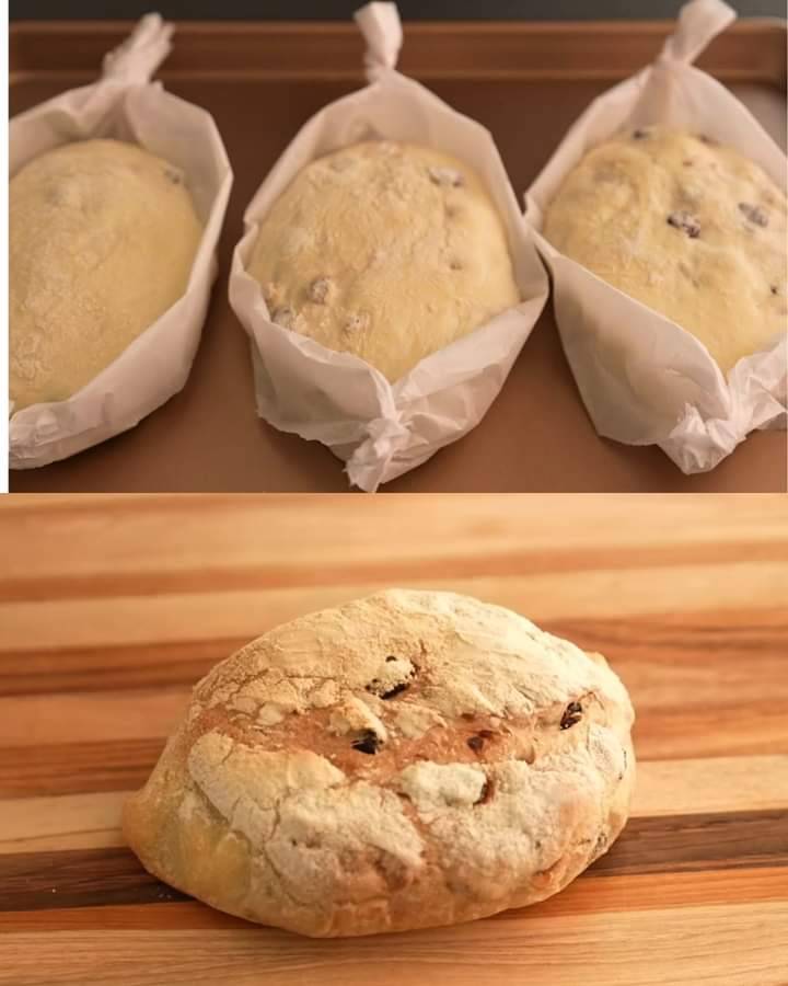 Cranberry Walnut Artisan Bread