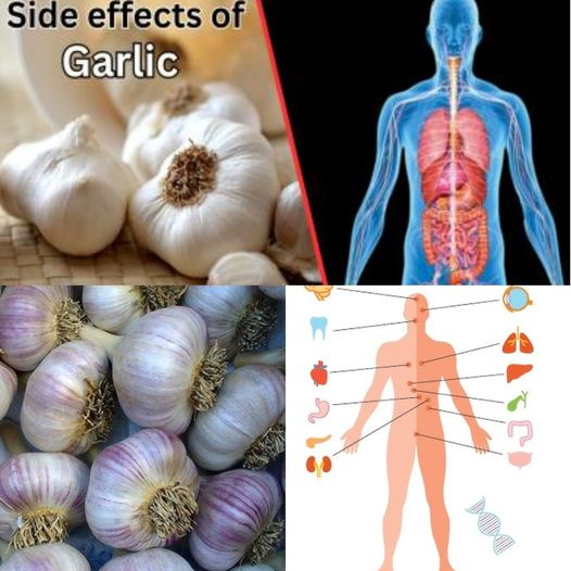 DANGERS of EATING GARLIC