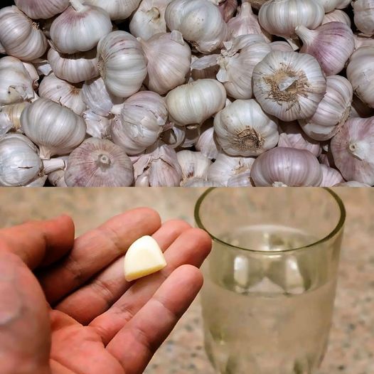 The Powerful Benefits of Starting Your Day with Raw Garlic and Water