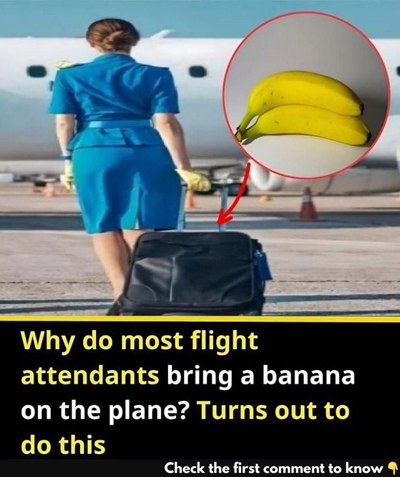 Most Flight Attendants Bring Bananas On Planes? Turns Out They’re Here To Do This