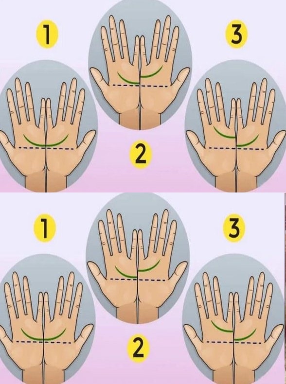 Decoding Palmistry: Understanding the Secrets of Hand Lines