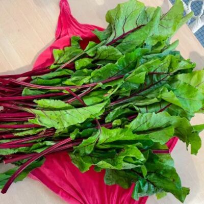 The Nutritional Powerhouse Hidden in Beet Greens