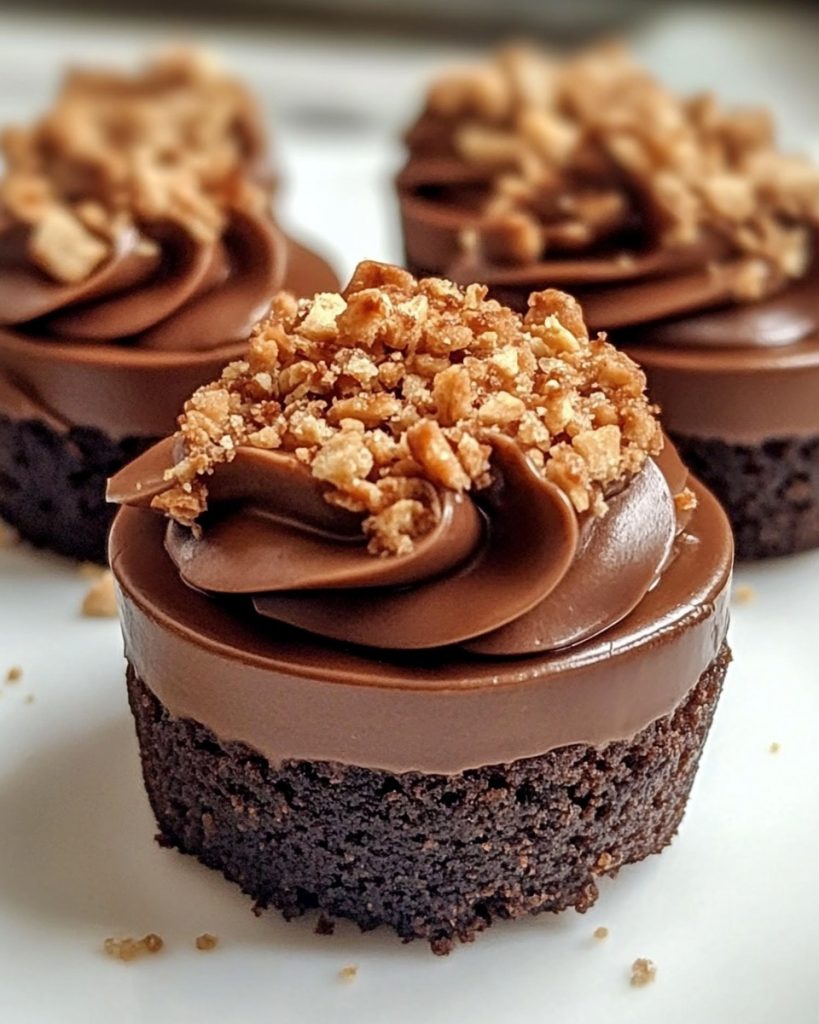 No-Bake Dark Chocolate Cheesecake Bites with a Graham Cracker Crust