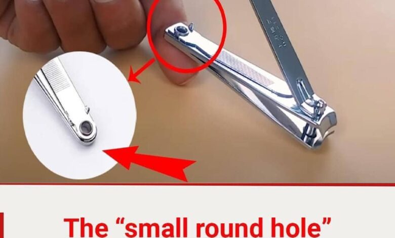 The “small round hole” on the nail clipper has special and powerful uses